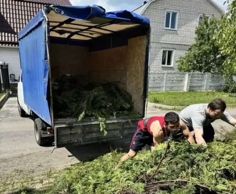 Вивіз сміття з приватного сектору